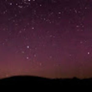 Meet your Posher, Dawna